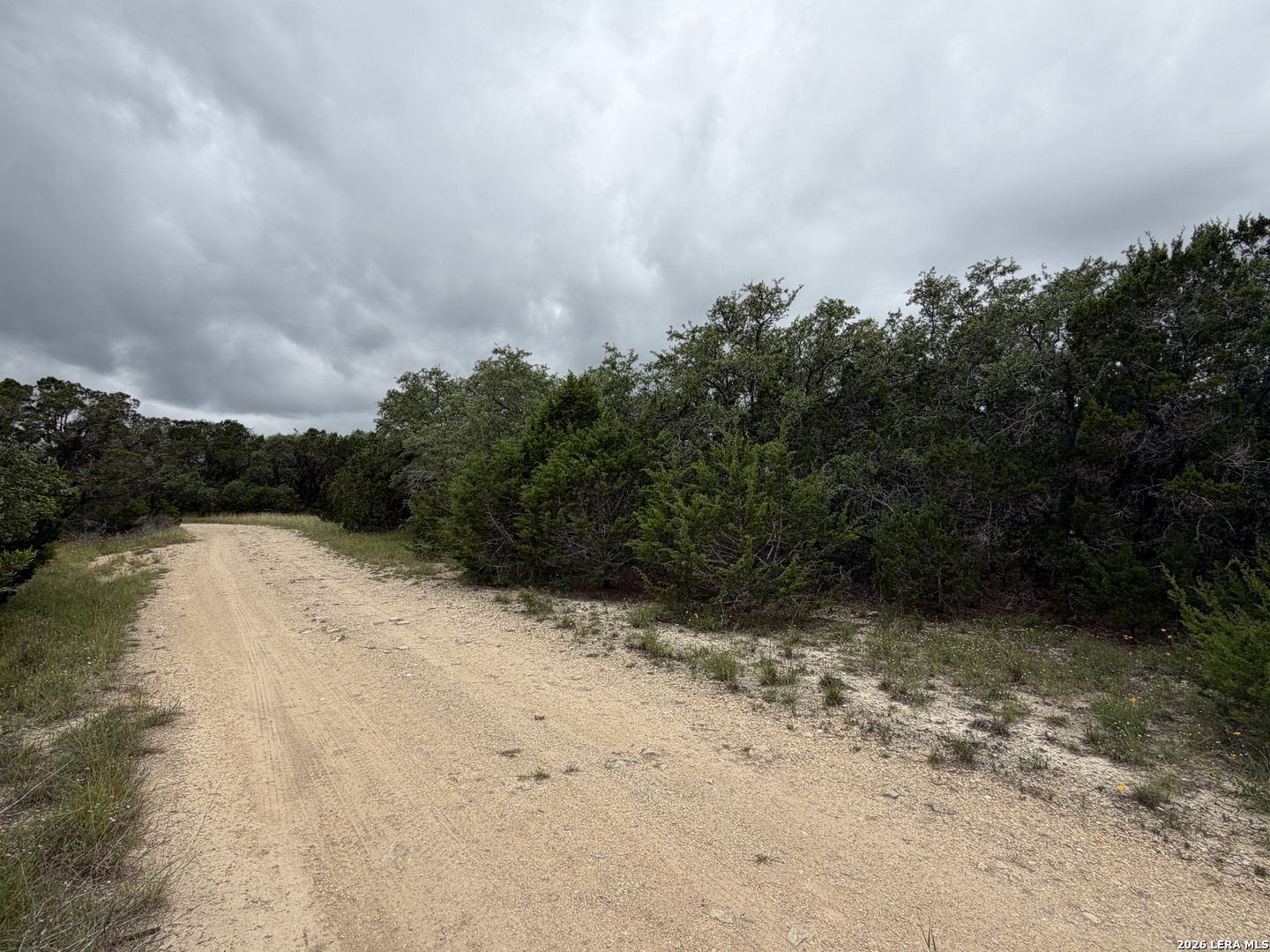 Lot 36 Cliff Drive Spring Branch, TX 78070 - Photo 5 of 5