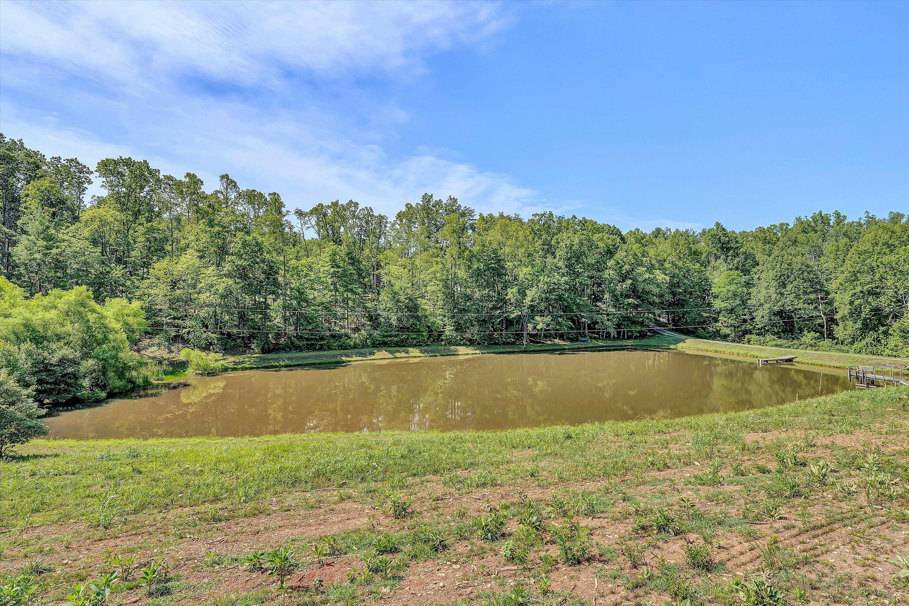 570 Mirey Branch Road Boones Mill, VA 24065 - Photo 39 of 43 Stocked Pond