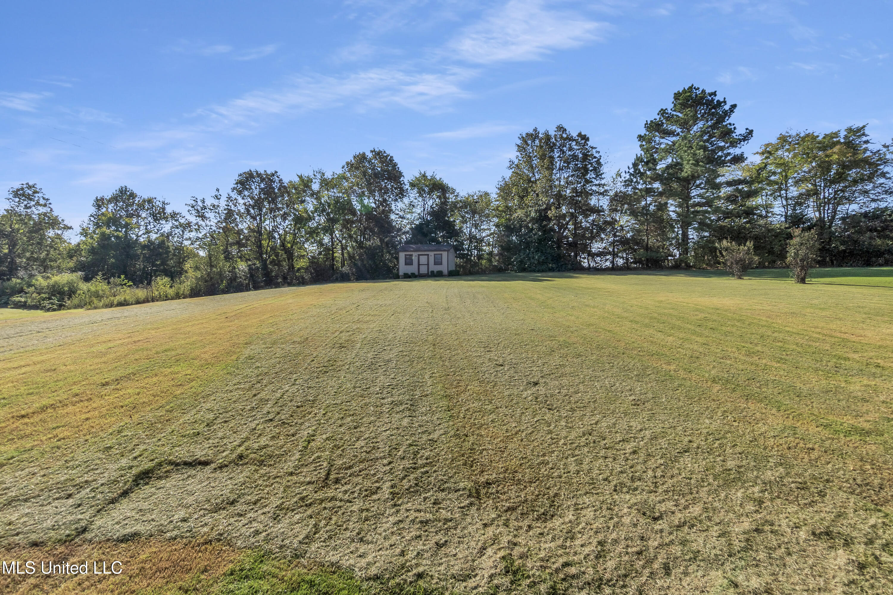 9159 Mitchell's Farm Cove Olive Branch, MS 38654 - Photo 39 of 40 46-DSC01478