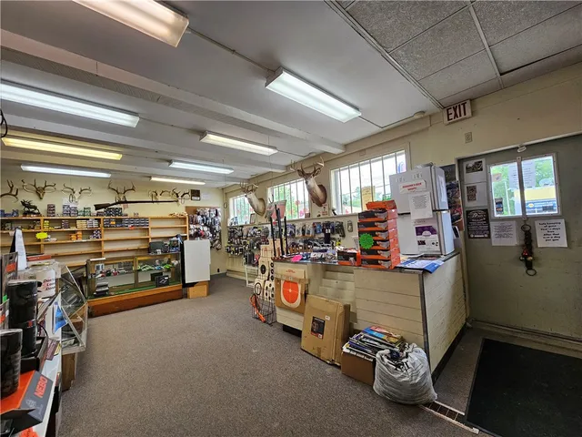 $450,000 | 367 West Morris Street, Bath, NY 14810