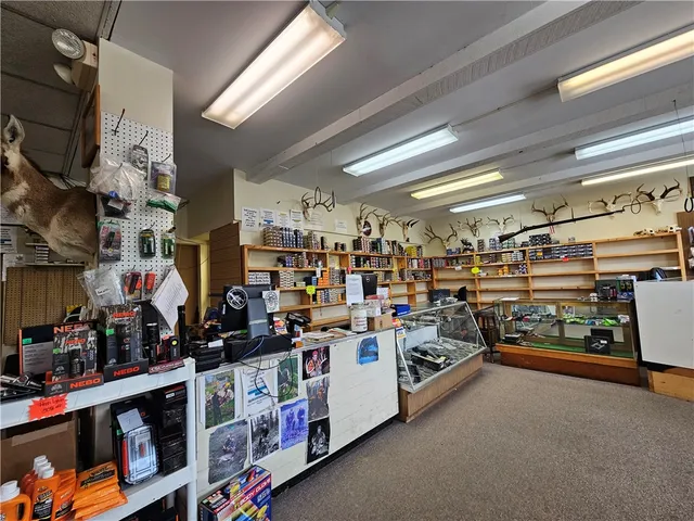 $450,000 | 367 West Morris Street, Bath, NY 14810