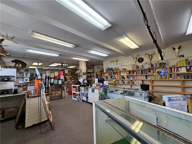 $450,000 | 367 West Morris Street, Bath, NY 14810