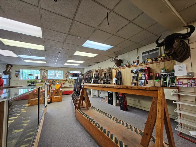 $450,000 | 367 West Morris Street, Bath, NY 14810