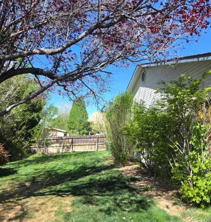 a view of a yard with plants and a bench
