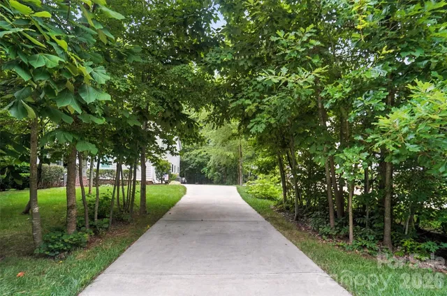 a view of a pathway of a park