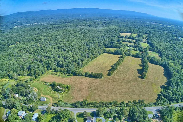 a view of a trees in a yard