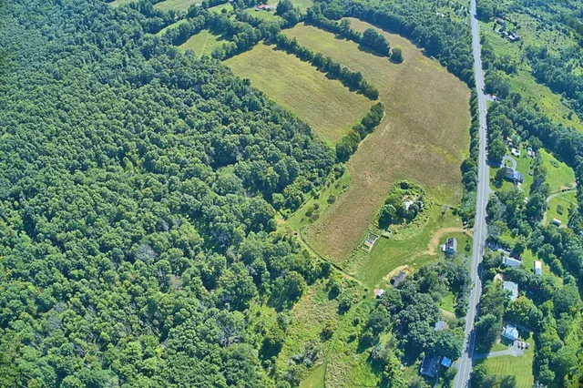a view of a green field with lots of bushes