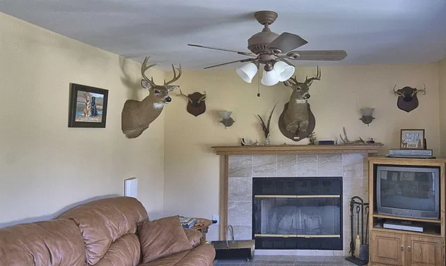 a backyard of a house with lots of green space and garden