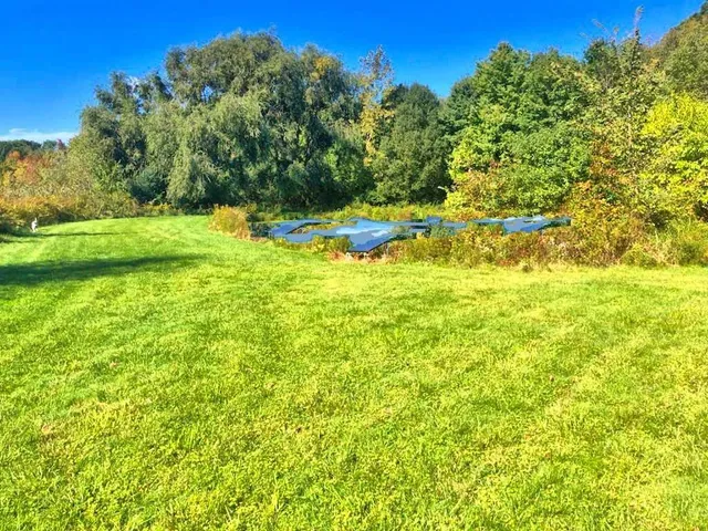 an aerial view of residential houses with outdoor space and trees