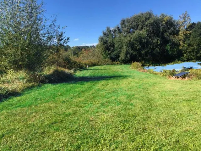a view of a green field