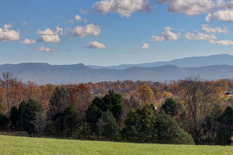 408 Gaut Road Dandridge, TN 37725 - Photo 7 of 33 Screen Shot 2015-11-14 at 7.50.15 AM