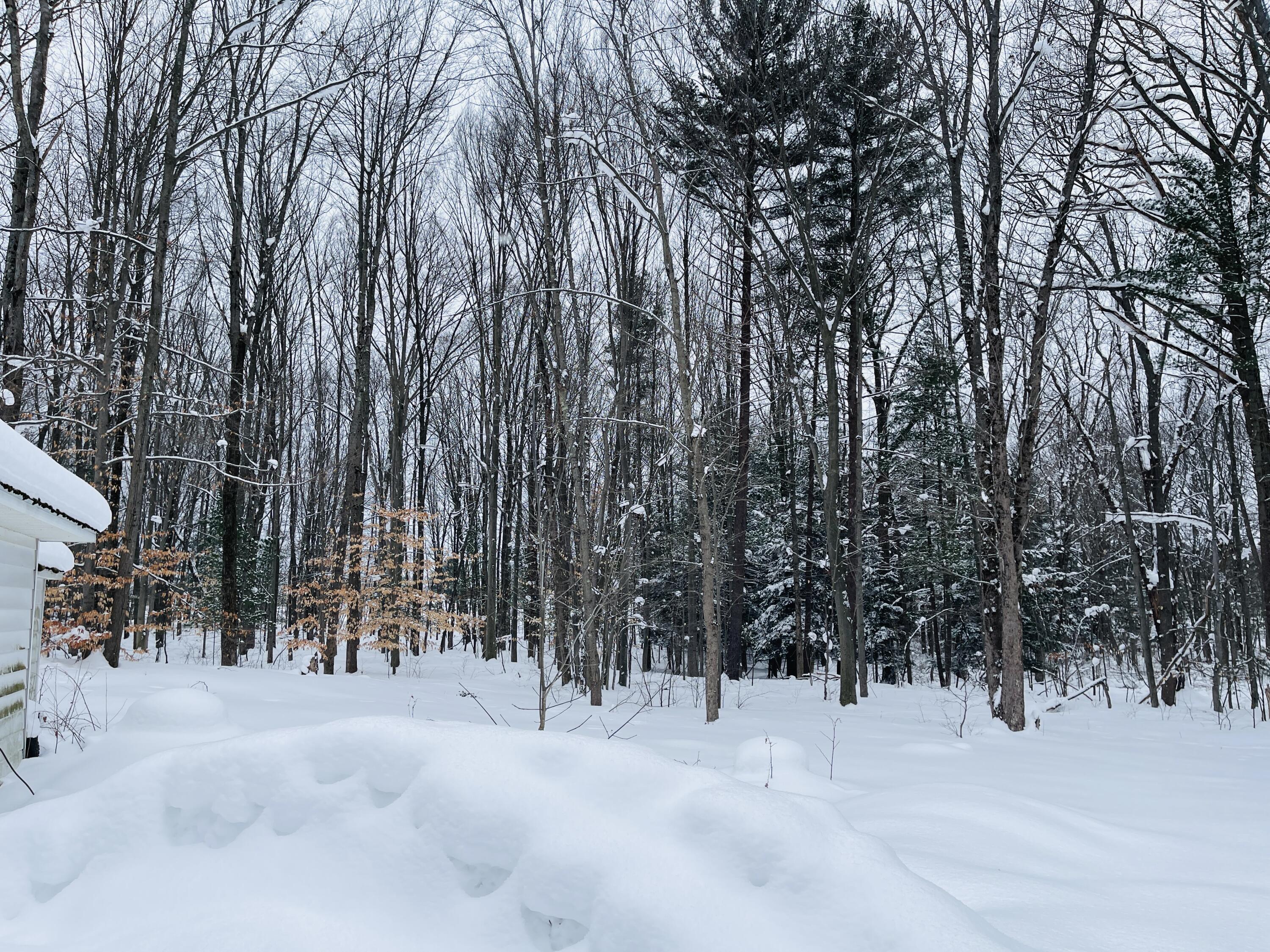 4899 North Ford Lake Road Fountain, MI 49410 - Photo 20 of 22 IMG_5396 (1)