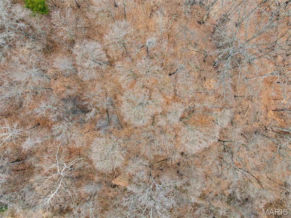 5942 Hawkins-Fuchs Road St. Louis, MO 63129 - Photo 18 of 20