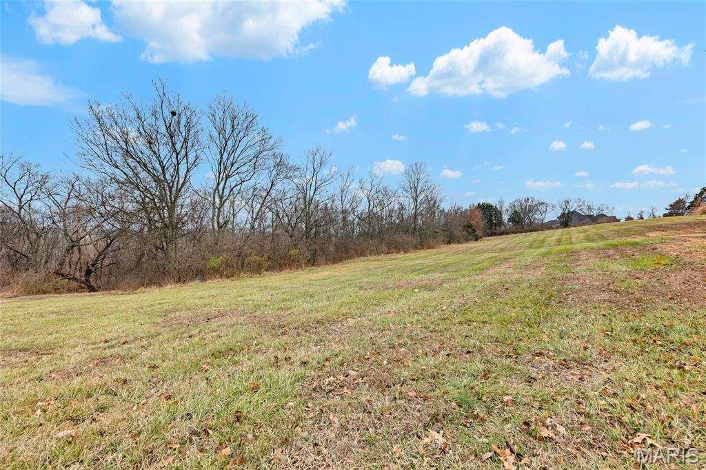 5942 Hawkins-Fuchs Road St. Louis, MO 63129 - Photo 10 of 20