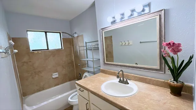 a bathroom with a sink a toilet and a mirror