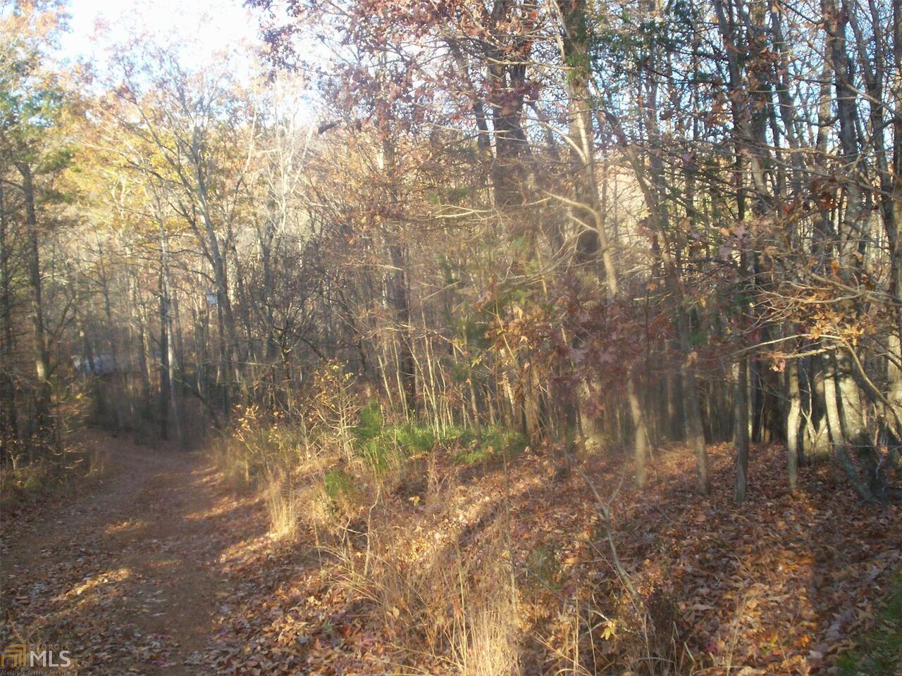 800 Skunk Hollow Road Cleveland, GA 30528 - Photo 1 of 1 Gallery Image 1