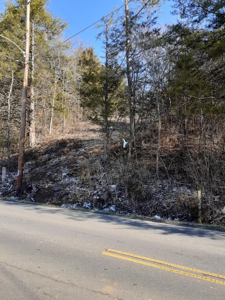 0 Ridge Road Sevierville, TN 37862 - Photo 3 of 11