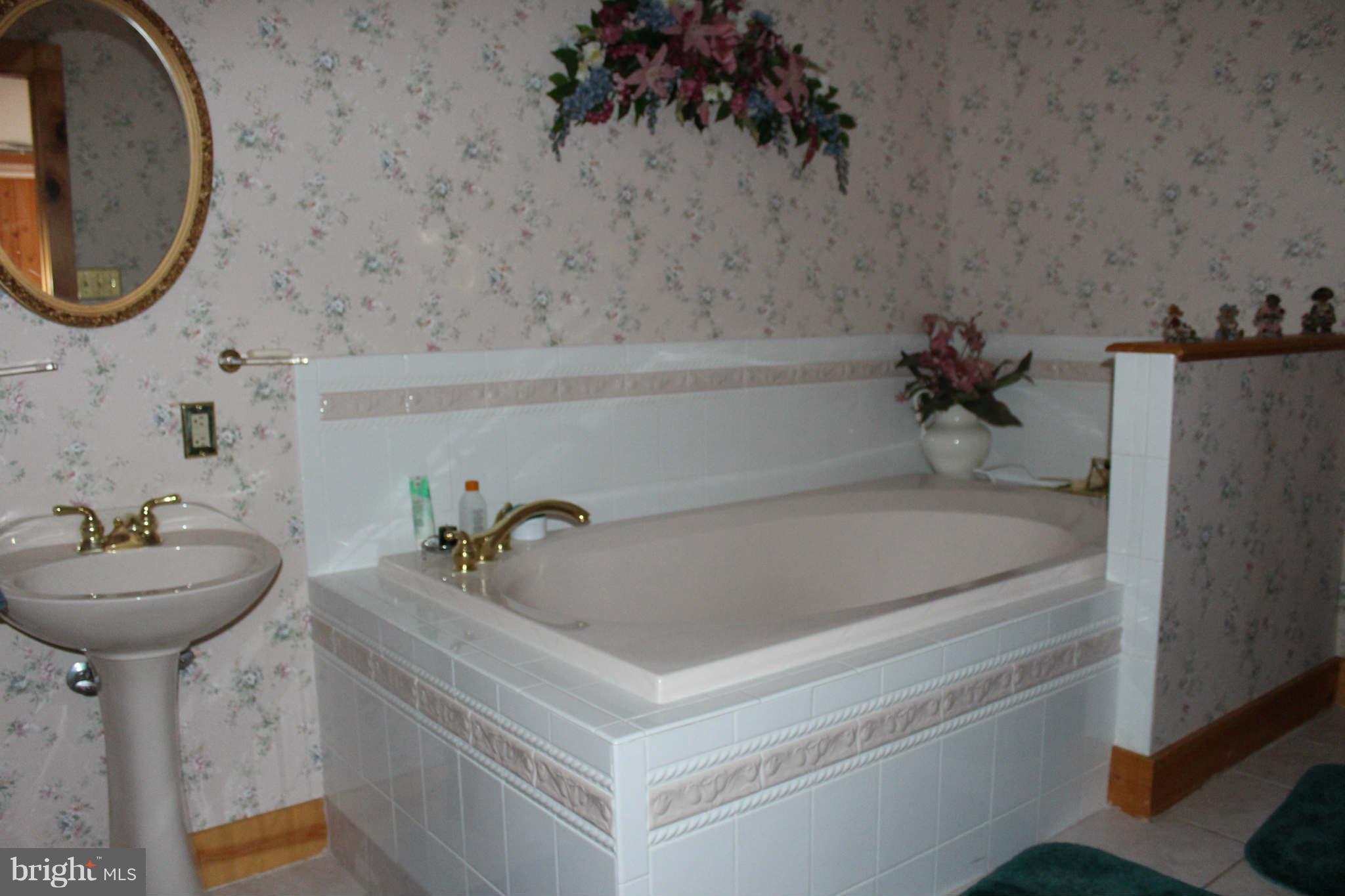 209 Ridge Road Winchester, VA 22602 - Photo 22 of 26 Bath