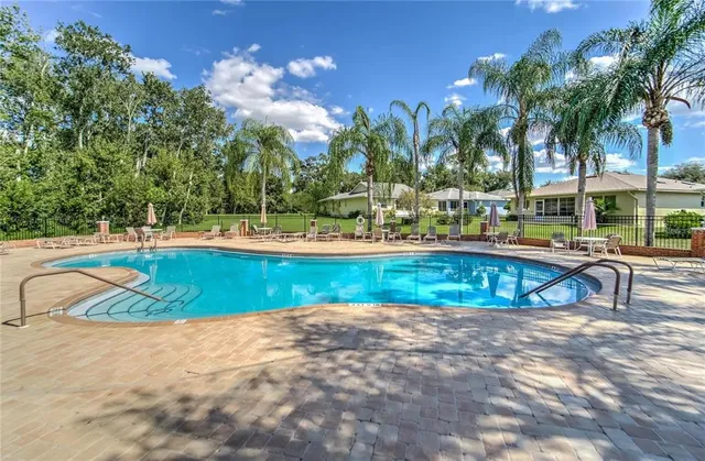 a view of swimming pool with a lawn chairs and palm tree