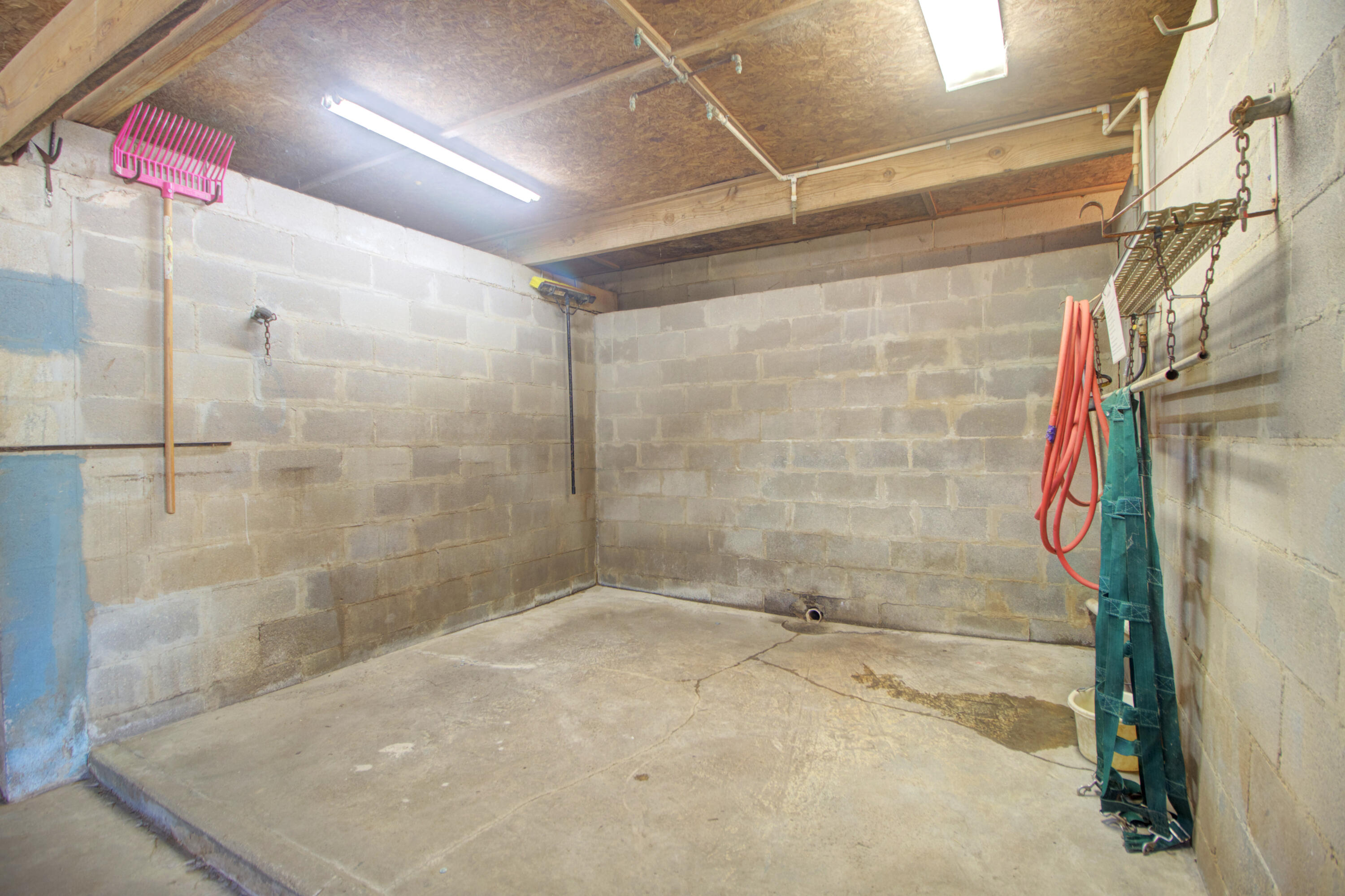 274 Campbell Road Ridgeville, SC 29472 - Photo 15 of 107 274 Campbell -Tidalcreekphoto- (15)