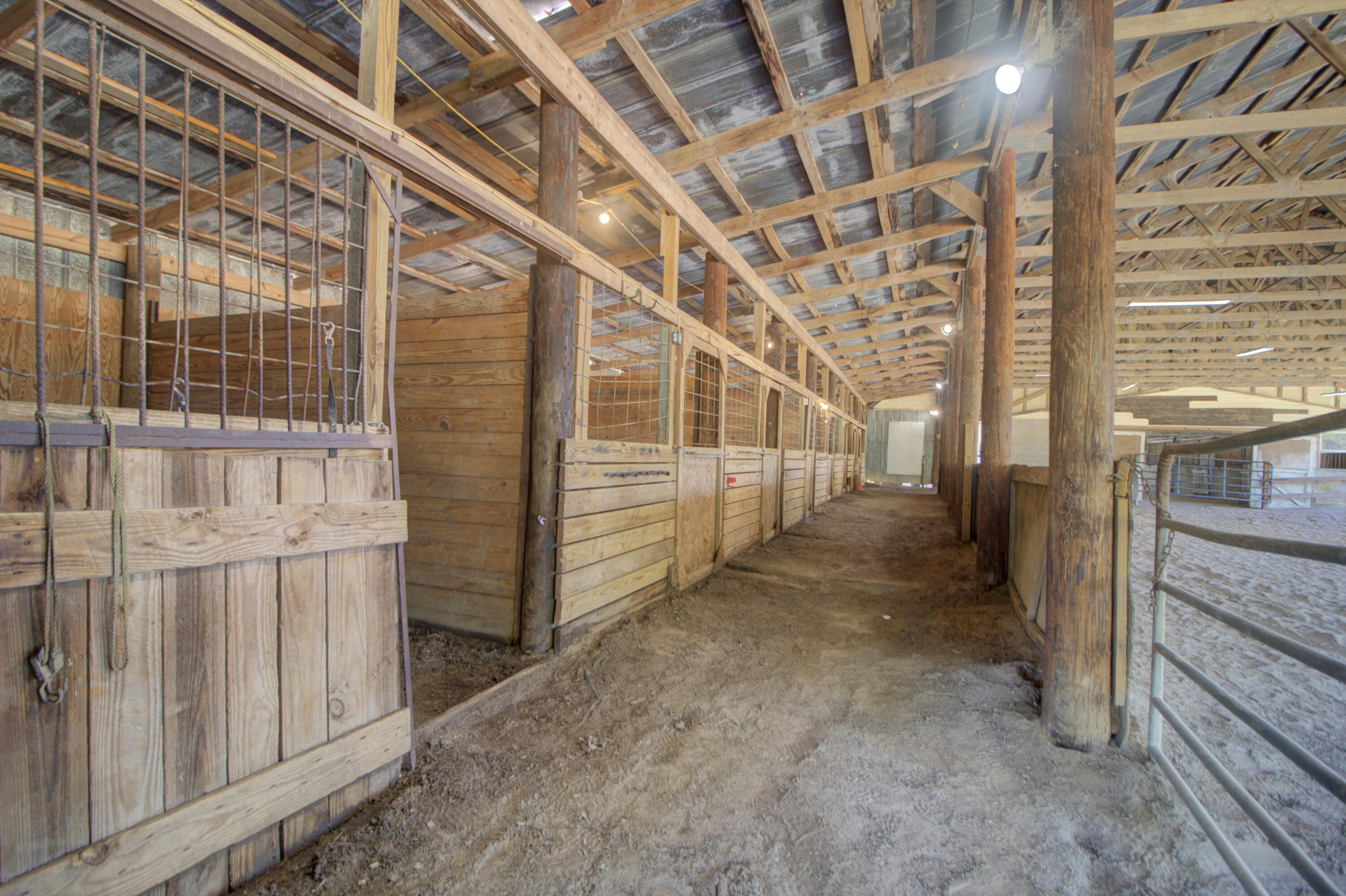 274 Campbell Road Ridgeville, SC 29472 - Photo 26 of 107 274 Campbell -Tidalcreekphoto- (19)