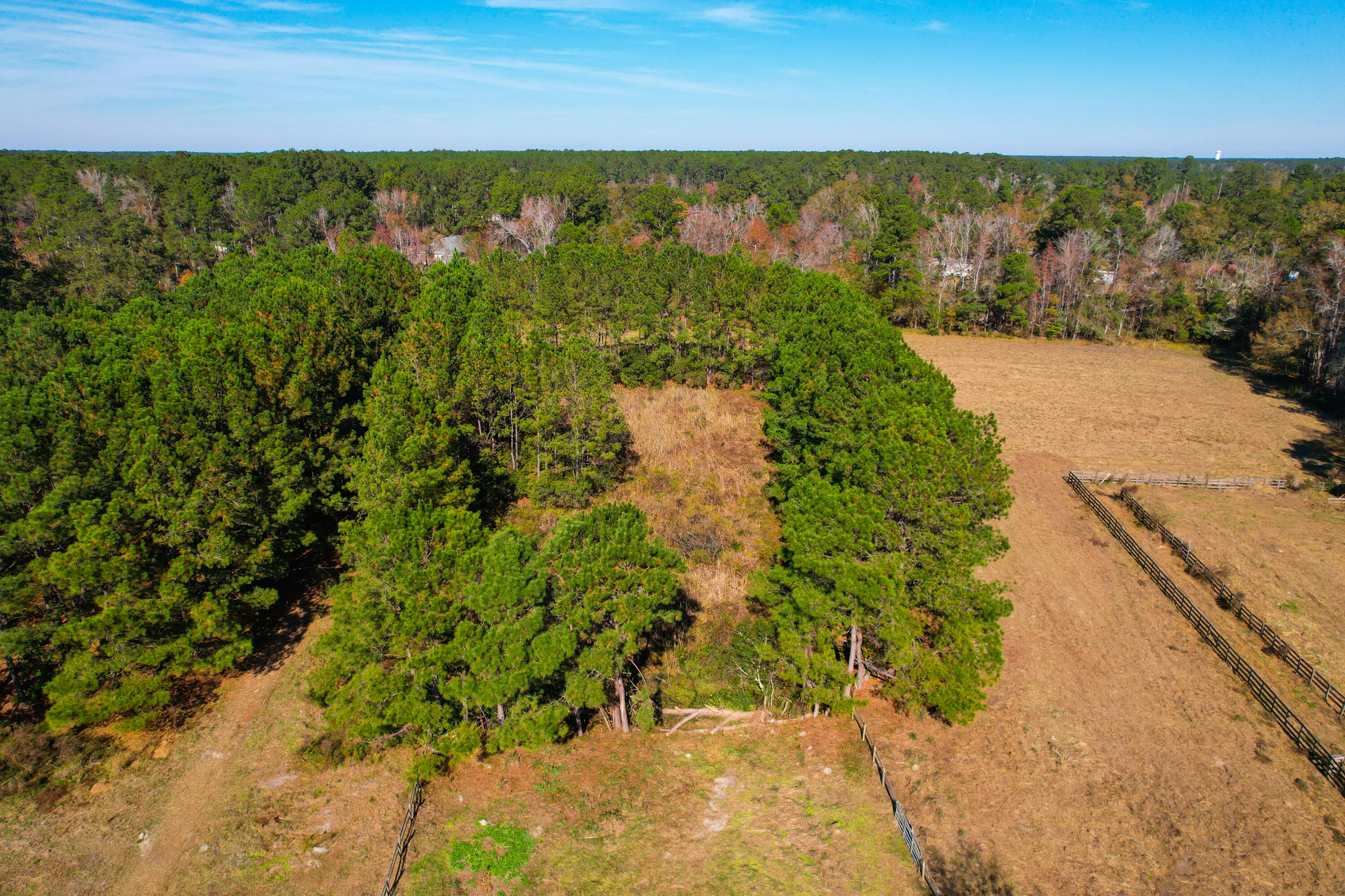 274 Campbell Road Ridgeville, SC 29472 - Photo 66 of 107 274 Campbell -Tidalcreekphoto- (4)