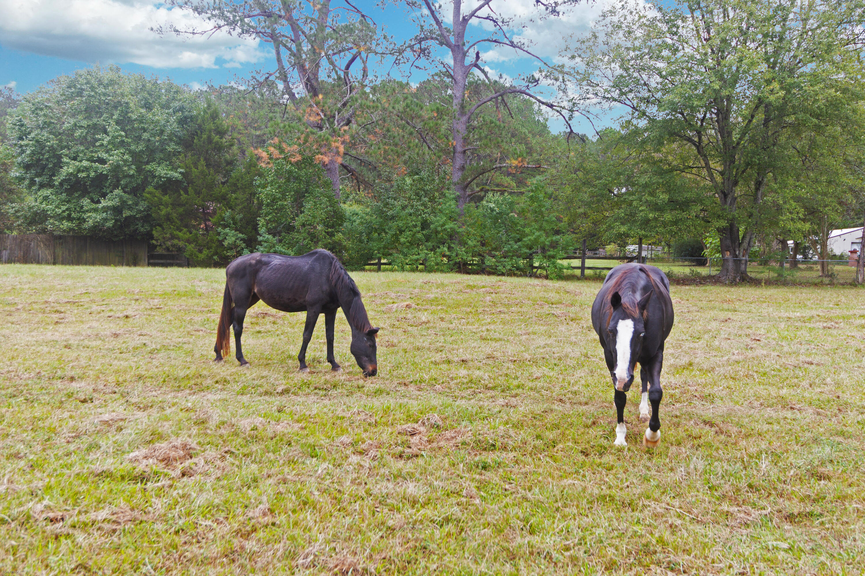 274 Campbell Road Ridgeville, SC 29472 - Photo 83 of 107 274 Campbell -Tidalcreekphoto- (35)