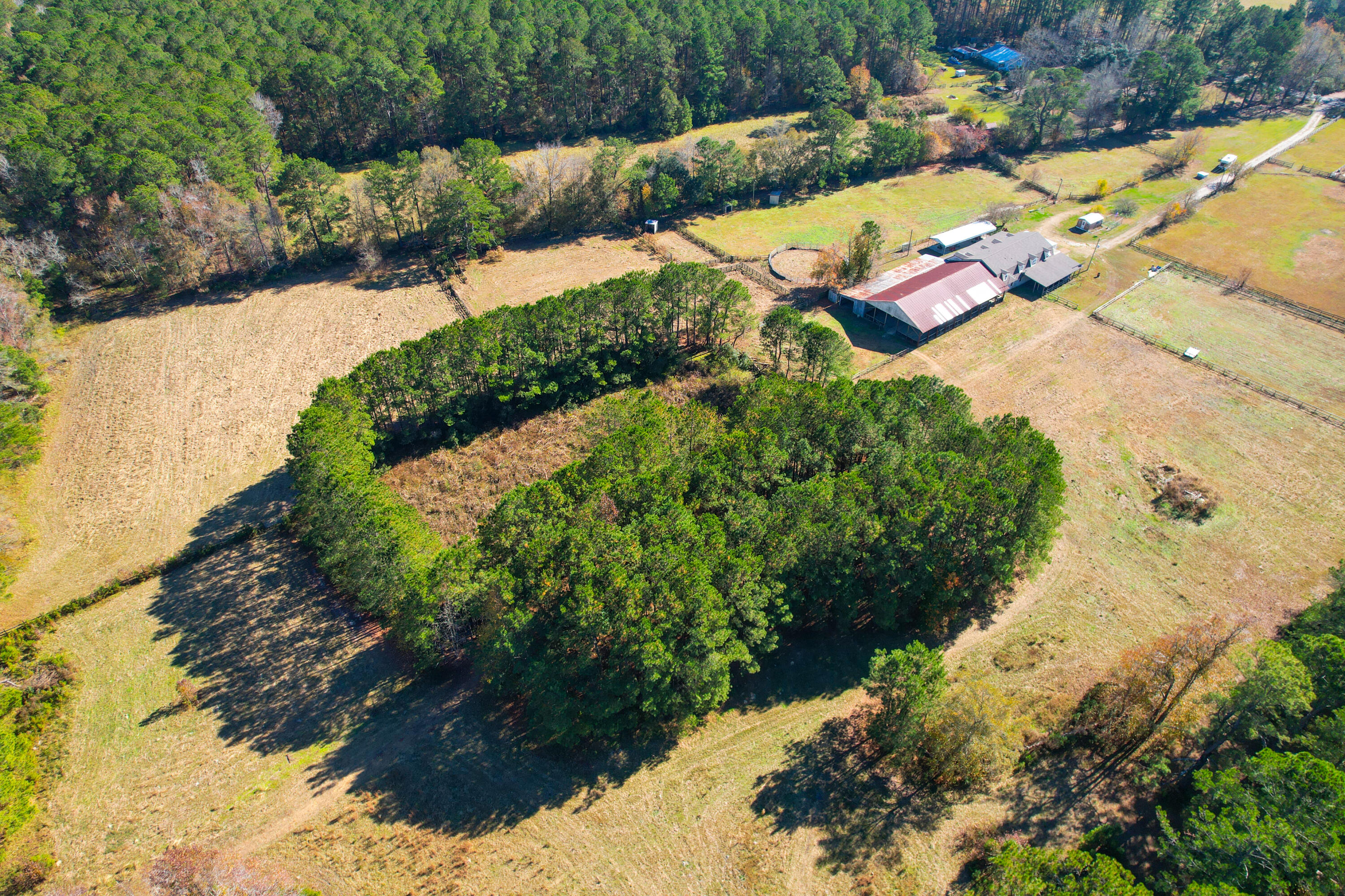 274 Campbell Road Ridgeville, SC 29472 - Photo 90 of 107 274 Campbell -Tidalcreekphoto- (65)