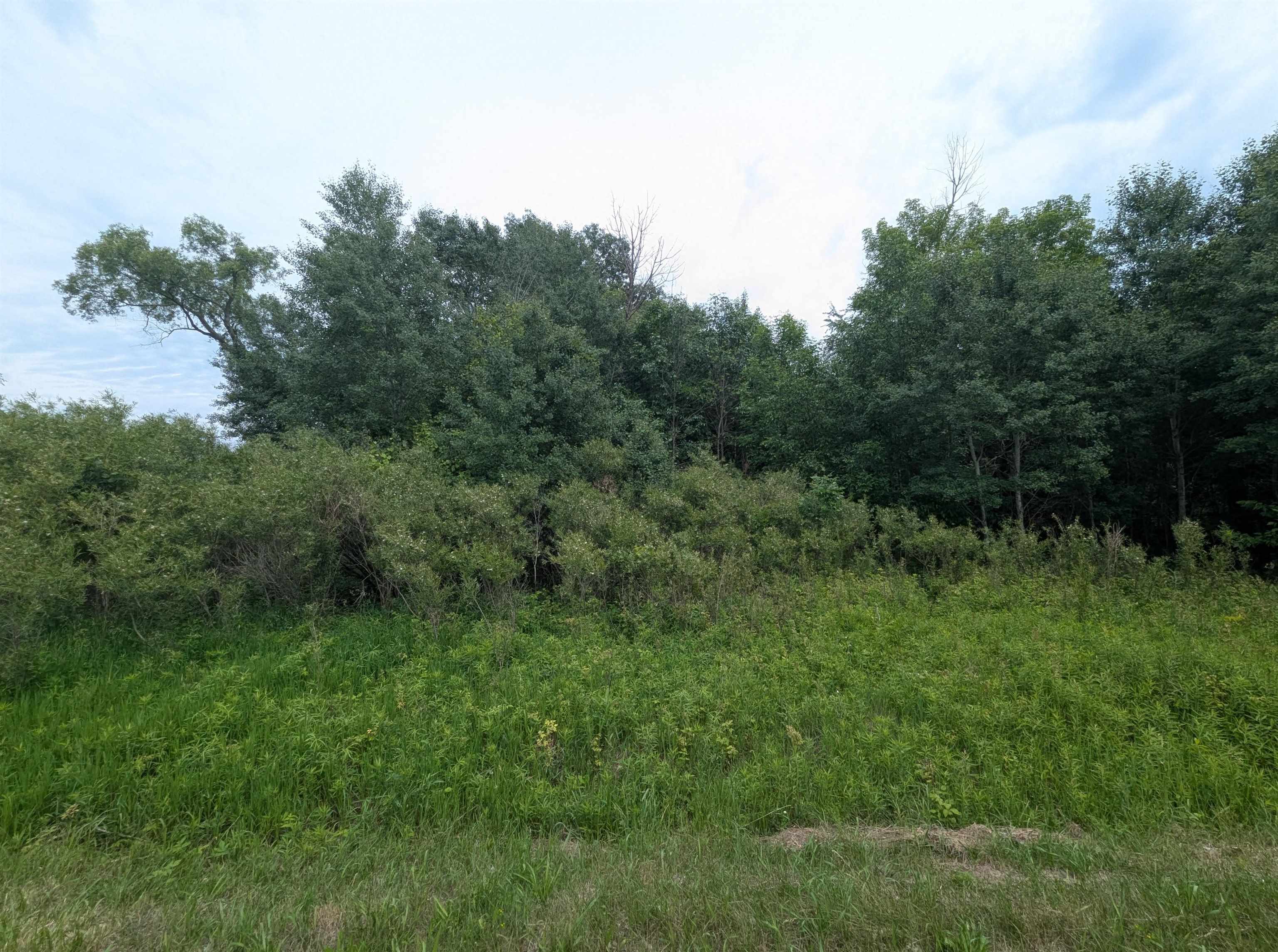 N/a Shenfield Road Turner, MI 48765 - Photo 6 of 15 1947337-7d13b40c-7031-469b-9405-9a492750bfe6.JPG