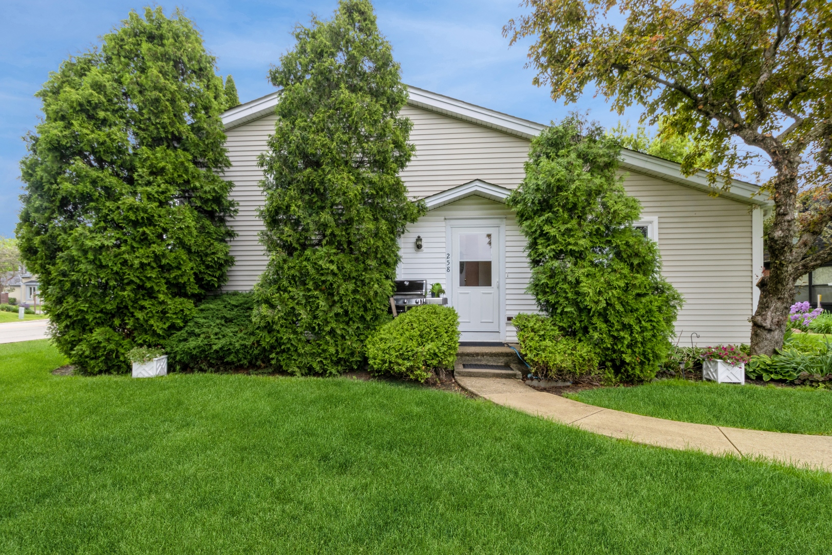 a view of a house with a yard and potted plants