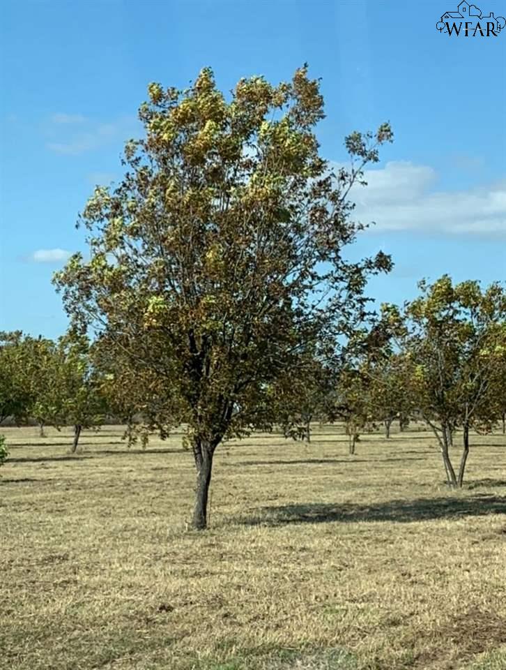 72-acres Leath Road Wichita Falls, TX 76305 - Photo 1 of 1 Gallery Image 1