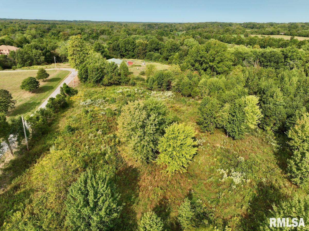 0 Crowell Road Carbondale, IL 62902 - Photo 13 of 35 Gallery Image 13