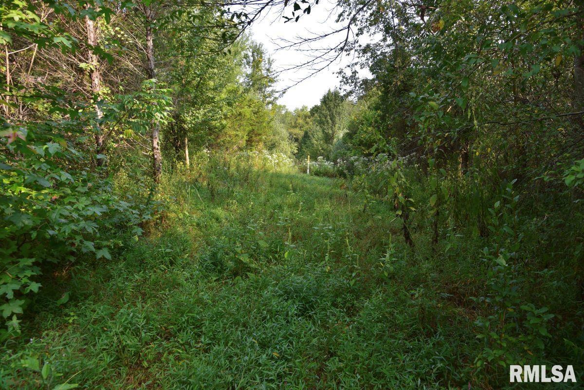 0 Crowell Road Carbondale, IL 62902 - Photo 16 of 35 Gallery Image 16