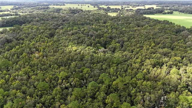 an aerial view of residential houses with outdoor space and trees