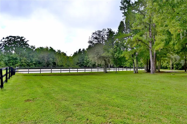 a view of a green field with trees