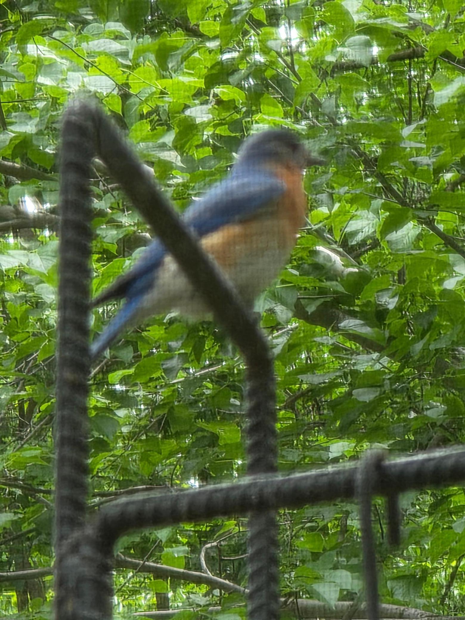 2945 County Road 4 Southwest, Unit 63 Cokato, MN 55321 - Photo 18 of 25