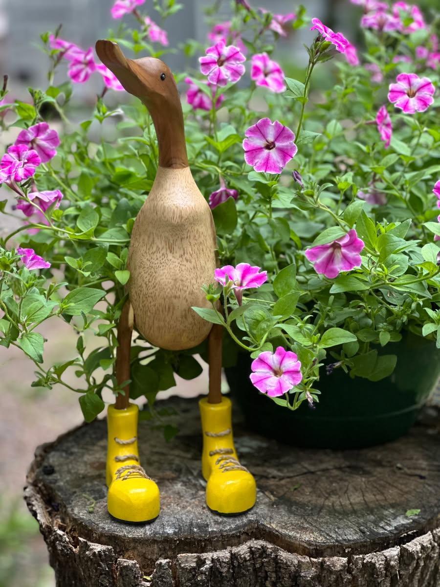 2945 County Road 4 Southwest, Unit 63 Cokato, MN 55321 - Photo 20 of 25