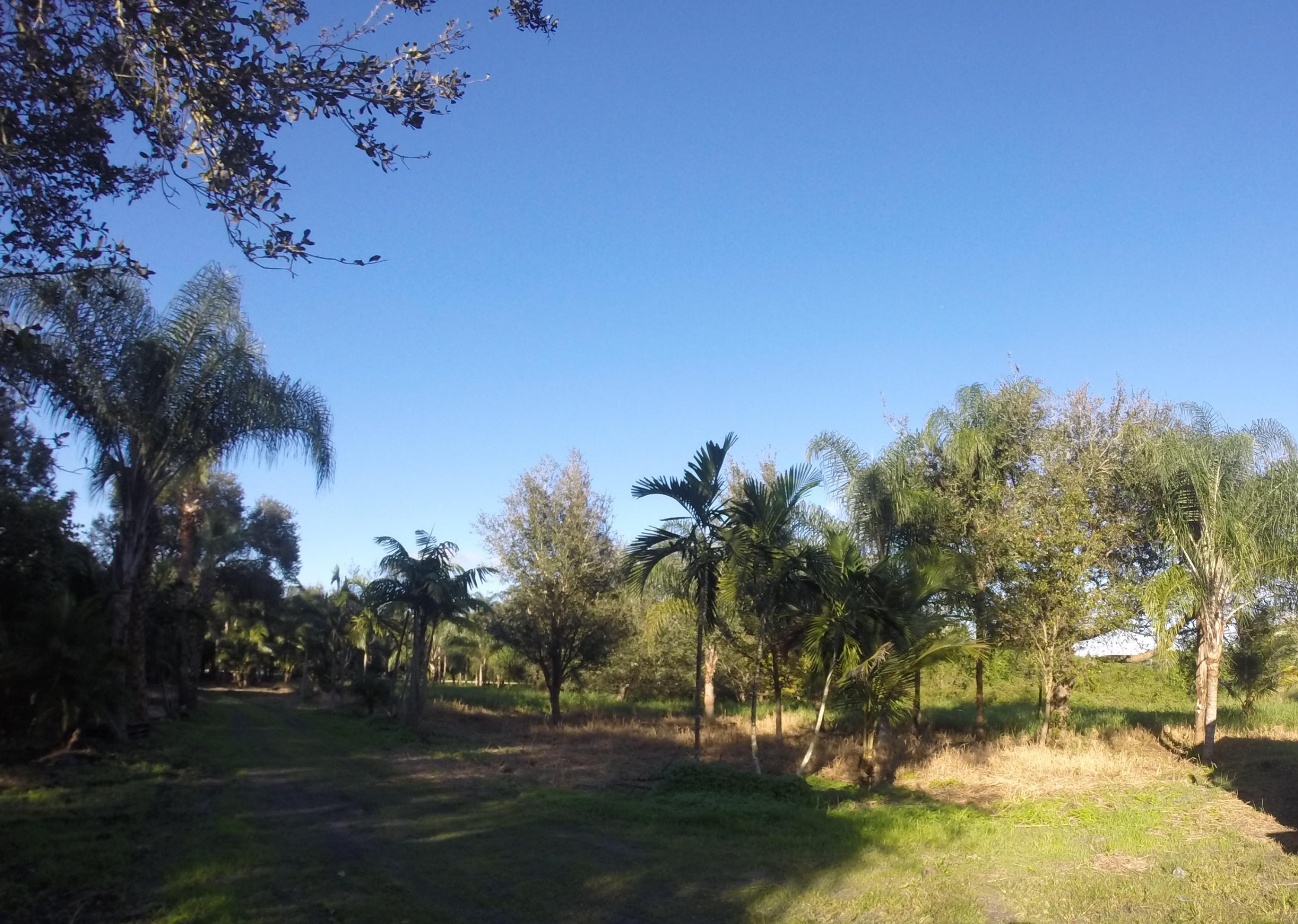 16300 Norris Road Wellington, FL 33470 - Photo 14 of 16 Land 4