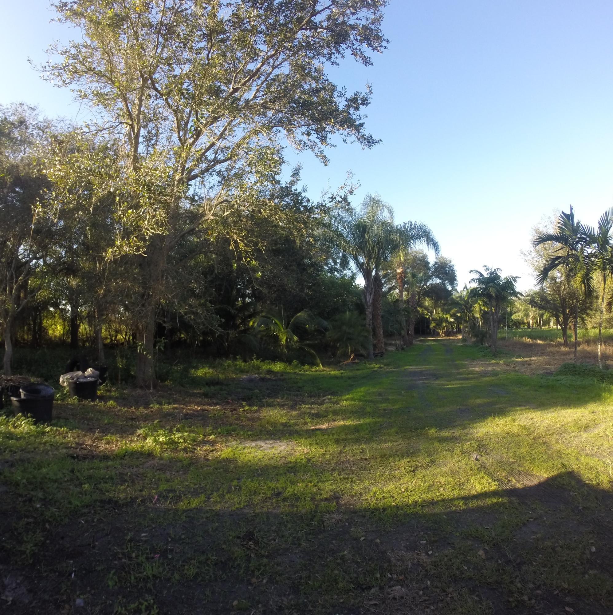 16300 Norris Road Wellington, FL 33470 - Photo 15 of 16 Land 5