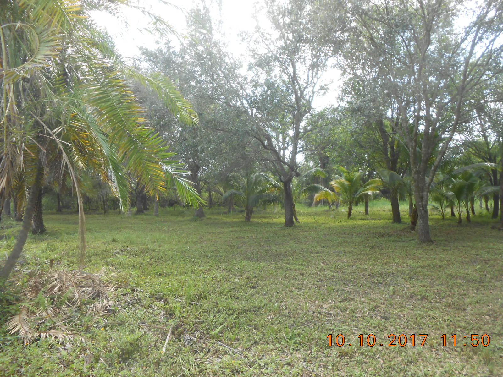 Looking SE