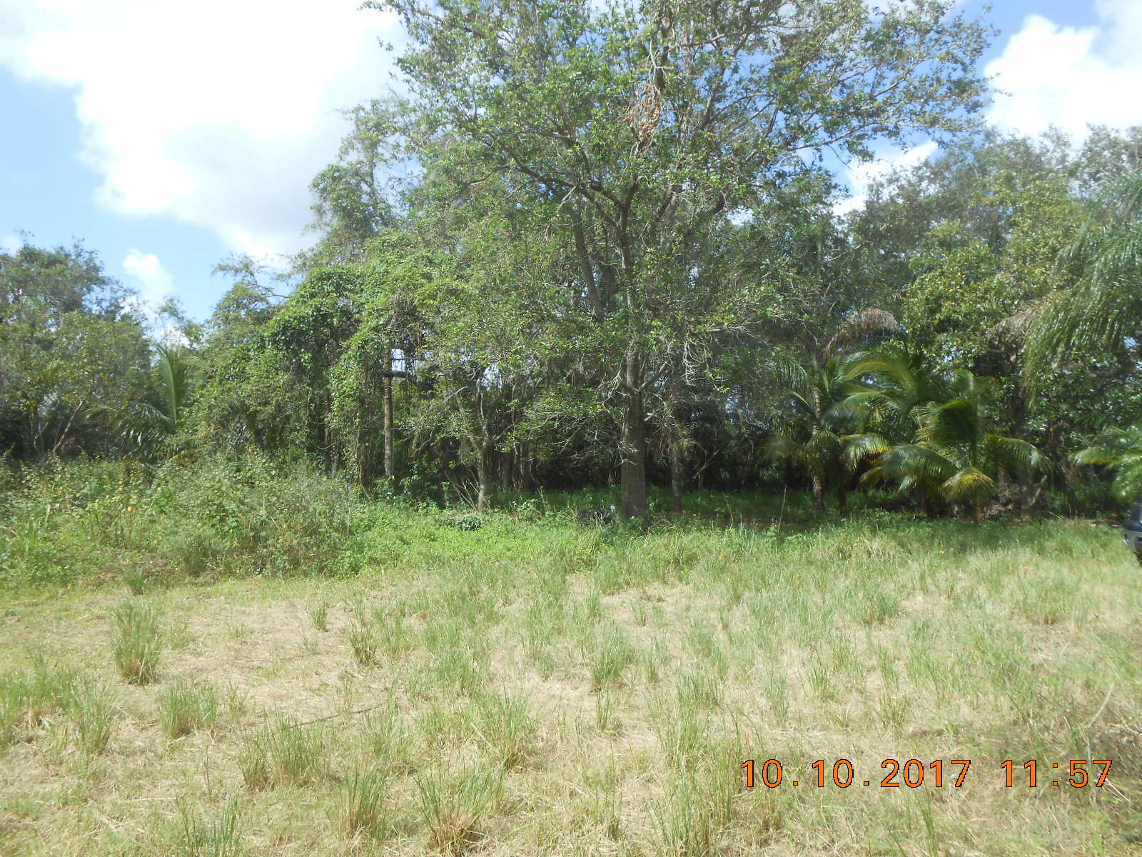 Rear portion of lot