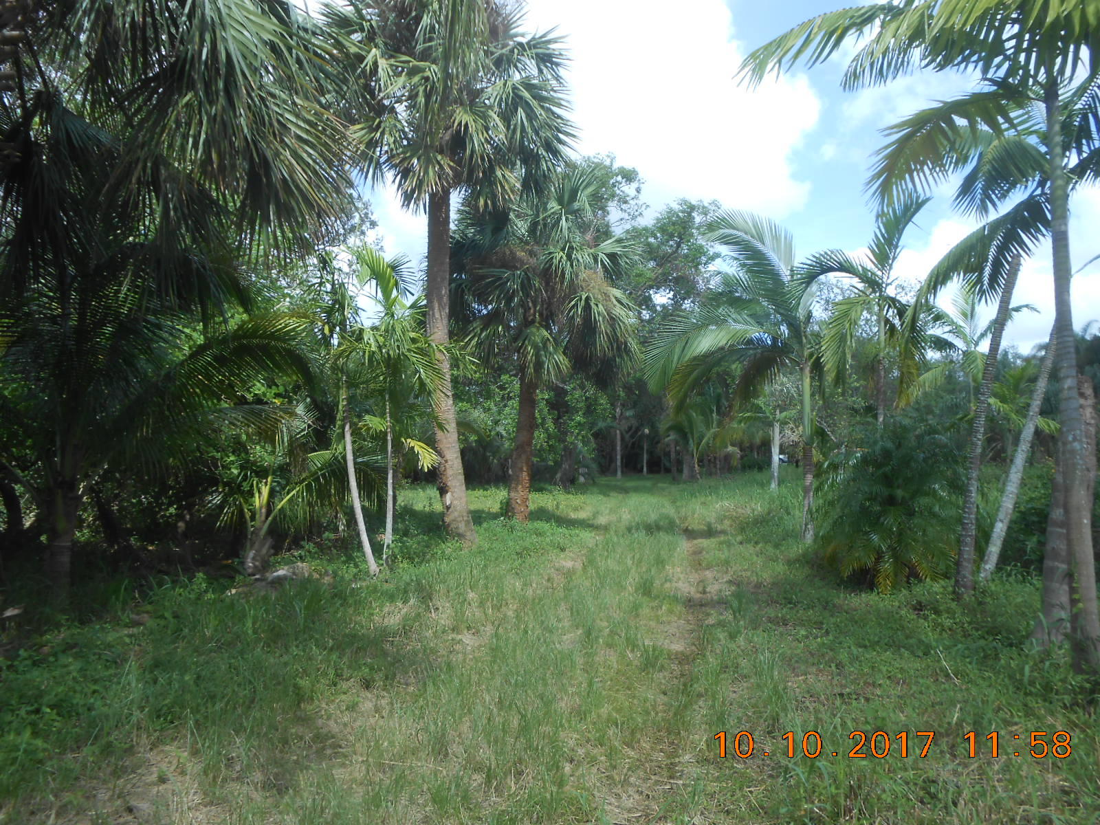16300 Norris Road Wellington, FL 33470 - Photo 8 of 16 Entry Road 4