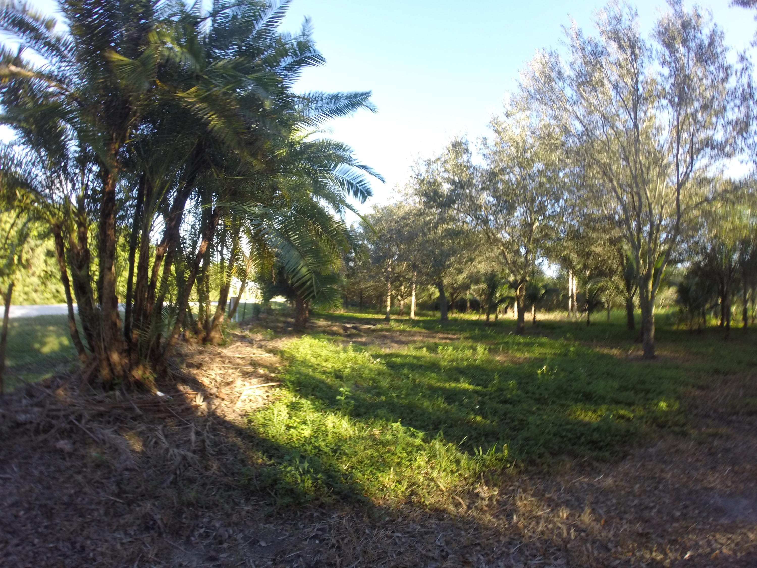 16300 Norris Road Wellington, FL 33470 - Photo 9 of 16 Land 1