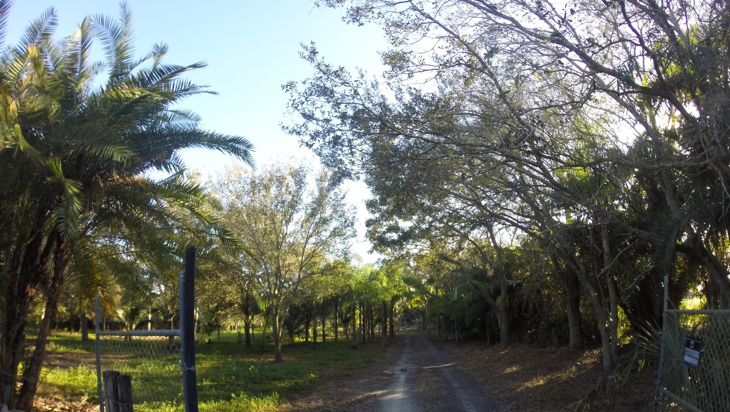 16300 Norris Road Wellington, FL 33470 - Photo 10 of 16 Main Drive
