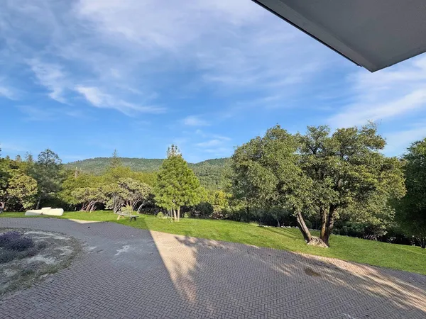 a view of a road with a yard