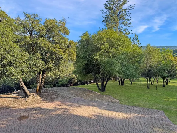 a view of a park with large trees