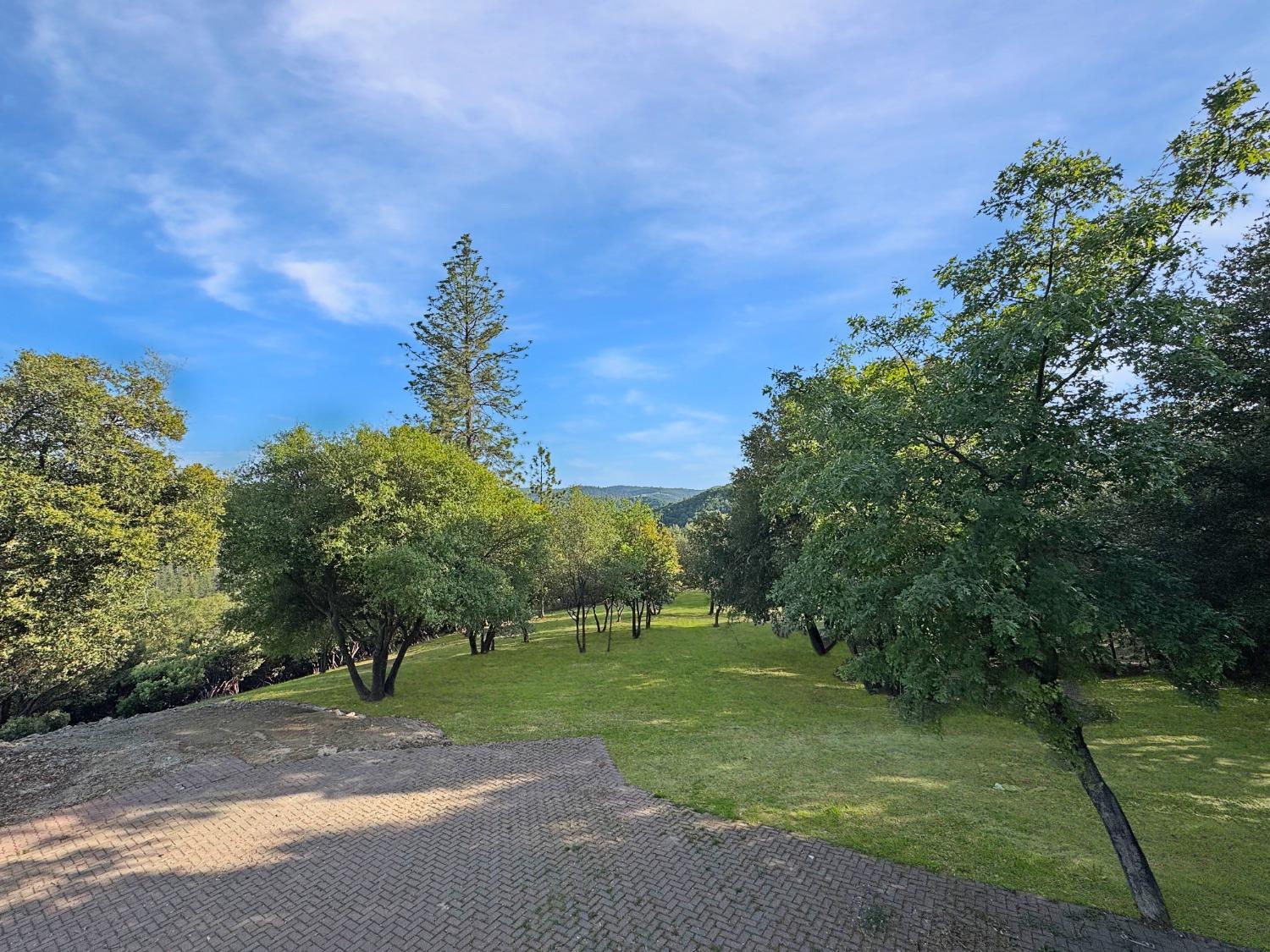 10095 Birchville Road Nevada City, CA 95959 - Photo 2 of 38 a view of a park with large trees