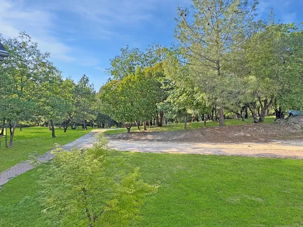 a view of green field with trees in the background