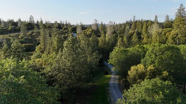 a view of a city with lush green forest