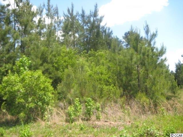 Tbd Guide Road Tabor City, NC 28463 - Photo 1 of 1